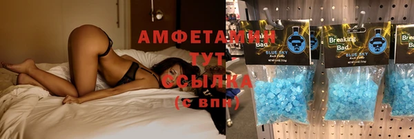 сатива Армянск