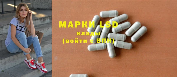 стафф Арсеньев