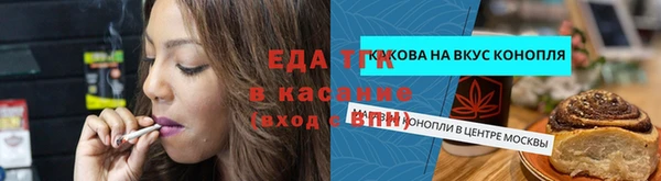 стафф Арсеньев