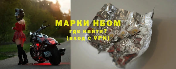 прущие грибы Аркадак
