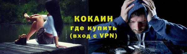 стафф Арсеньев