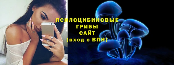 стафф Арсеньев