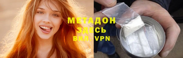 прущие грибы Аркадак