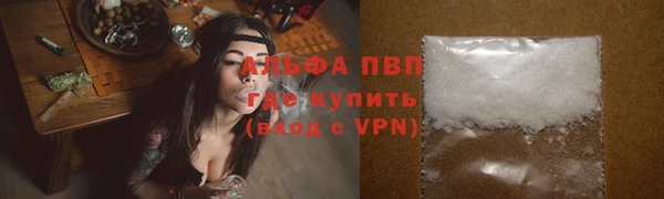 сатива Армянск