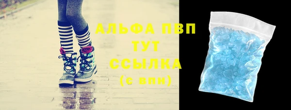 стафф Арсеньев