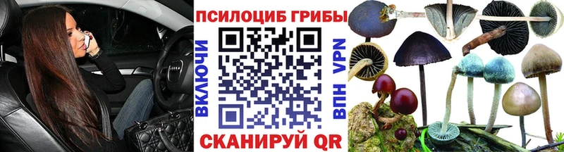 Галлюциногенные грибы ЛСД как найти Нововоронеж